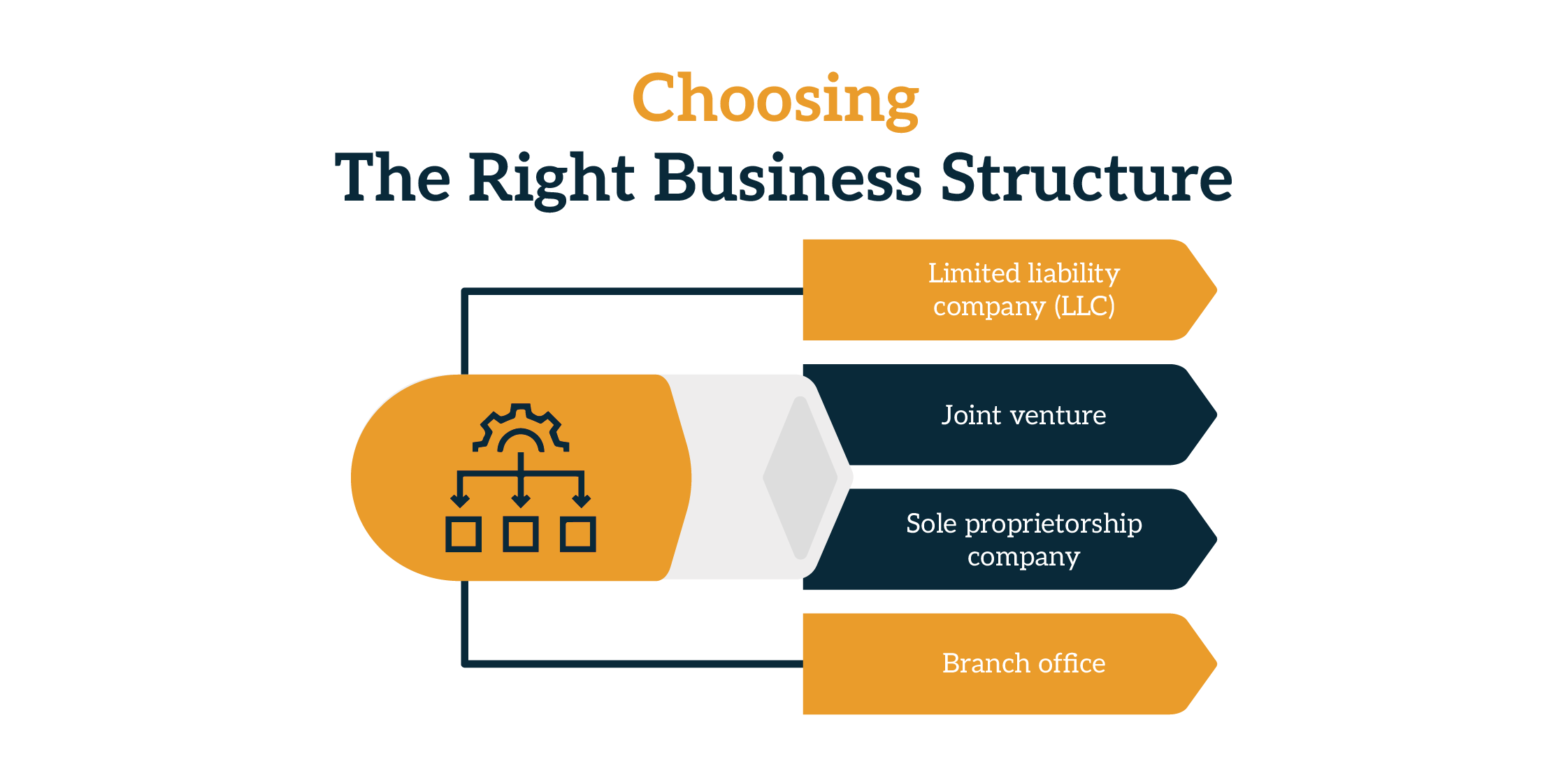 Company Formation